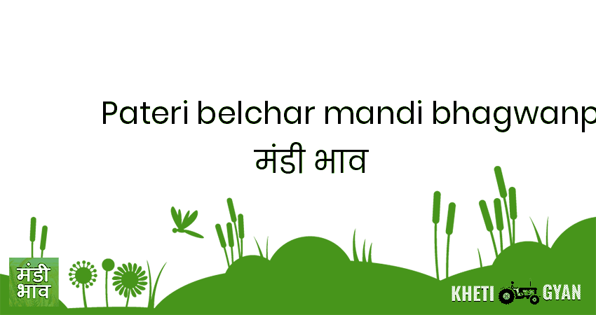 Pateri Belchar Mandi, Bhagwanpur block मंडी भाव की ताज़ा तस्वीर